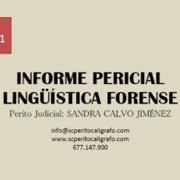 informe-linguistica